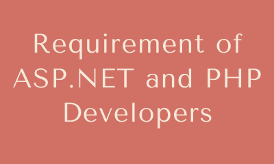 Requirement of ASP.NET and PHP developers