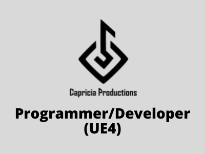 Programmer Developer required at Capricia