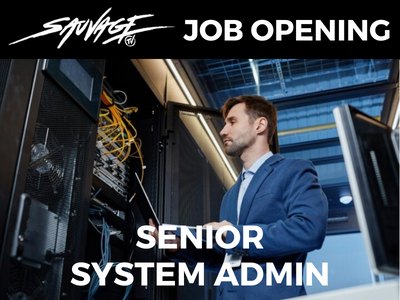 Senior System Administrator job opening at SAUVAGE.TV