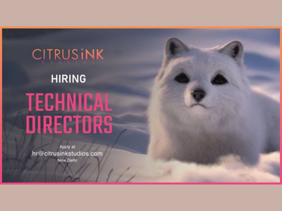 Technical Directors required at Citrus Ink Studios