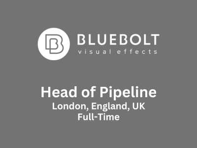 BlueBolt is looking for an experienced Head of Pipeline