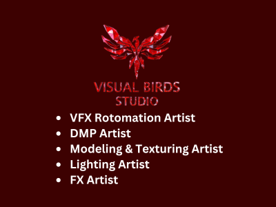 Multiple job openings at Visual Birds Studio