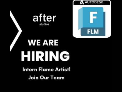 Intern Flame Artist required at After Studios