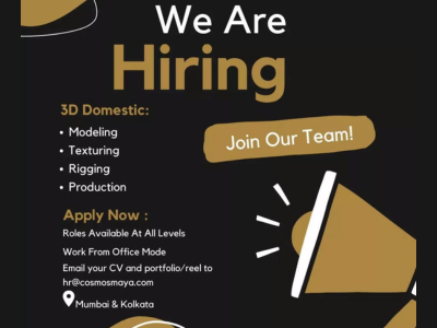 All Level roles available in 3D Domestic at Cosmos Maya