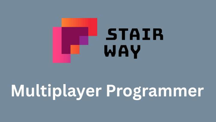 Multiplayer Programmer required 
